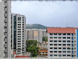 Blk 254 Bangkit Road (Bukit Panjang), HDB Executive #595059281
